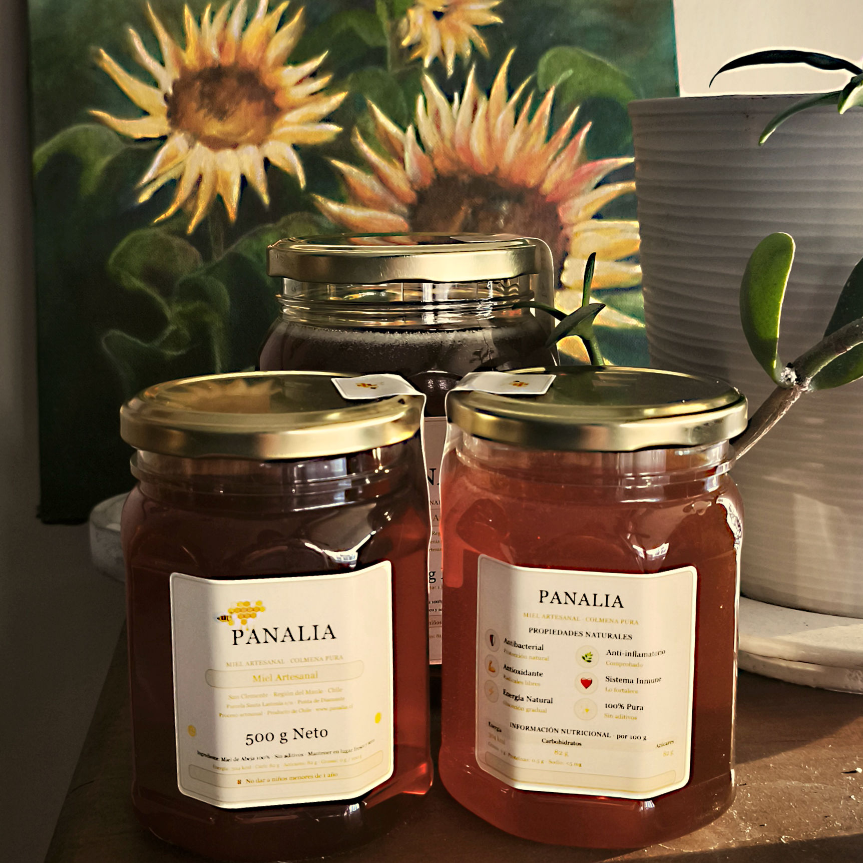 Miel Floral 500g Panalia